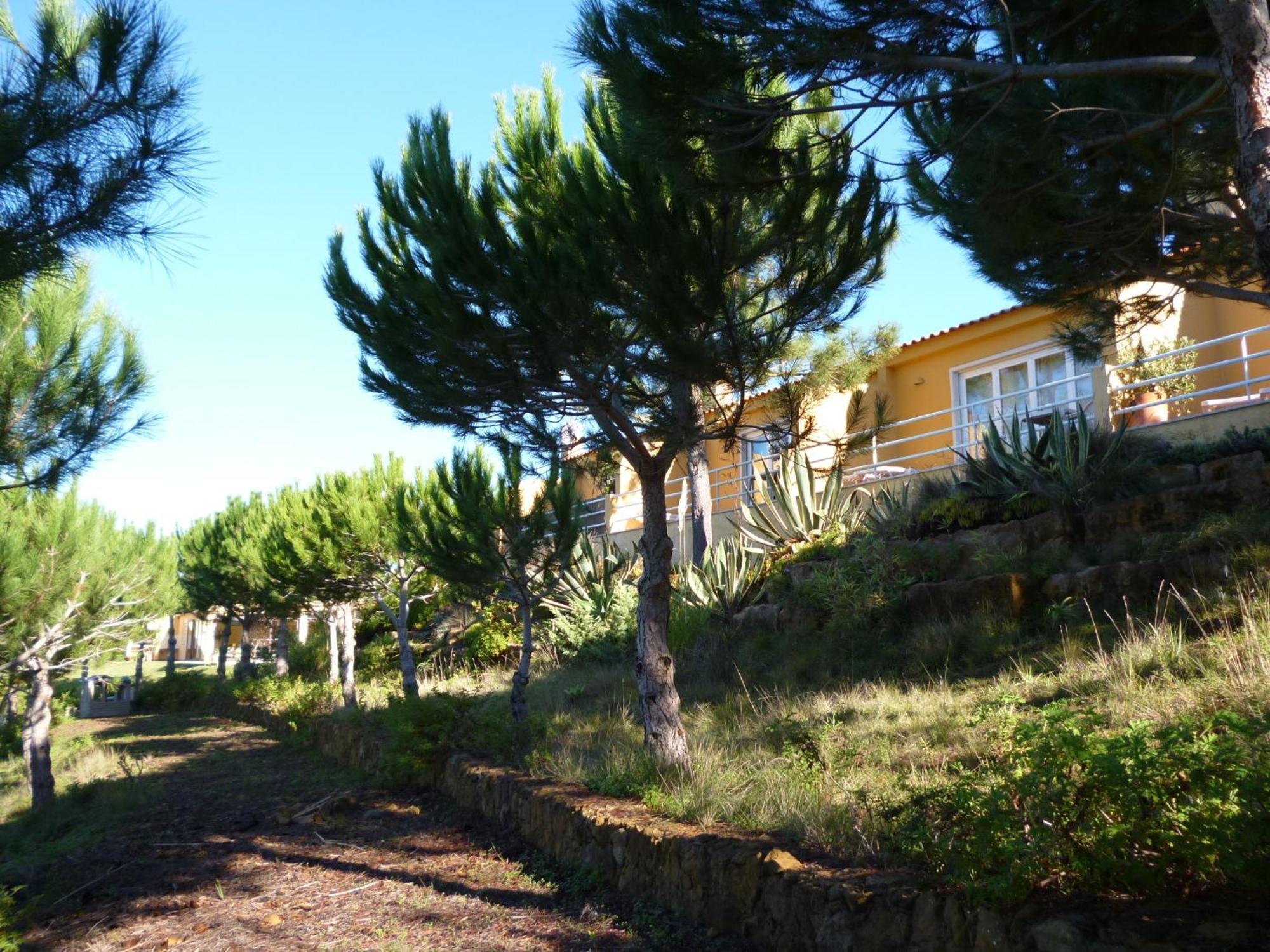 Santo IsidoroQuinta Raposeiros公寓 外观 照片