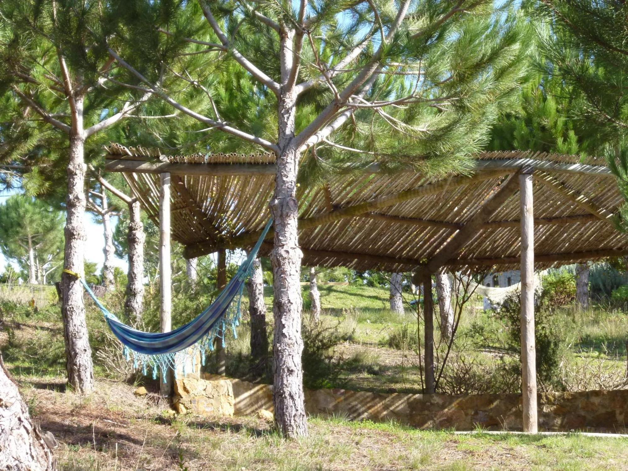 Santo IsidoroQuinta Raposeiros公寓 外观 照片
