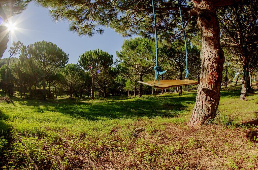 Santo IsidoroQuinta Raposeiros公寓 外观 照片
